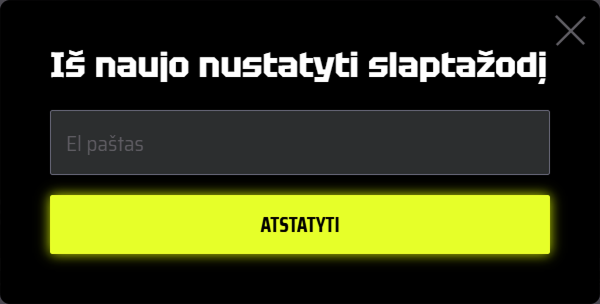 Iš naujo nustatyti slaptažodį el. pašto laukelį ir ATSTATYTI mygtuką